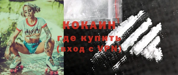 мет Алексин