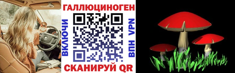MEGA ссылки  Белореченск  Галлюциногенные грибы MAGIC MUSHROOMS  где купить наркоту 