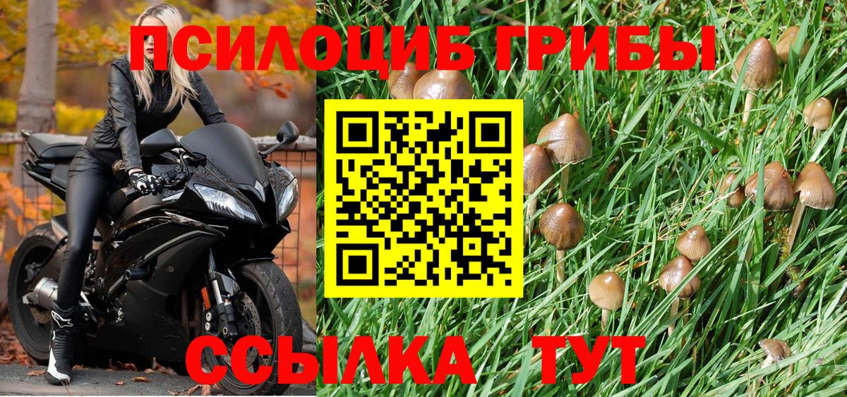 Белореченск  наркота  Вход с VPN  Псилоцибиновые грибы Psilocybe  Псилоцибиновые грибы мицелий 